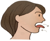 舌の前後運動のイラスト